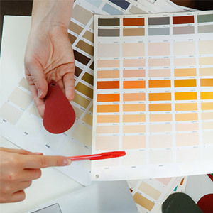 color.webp